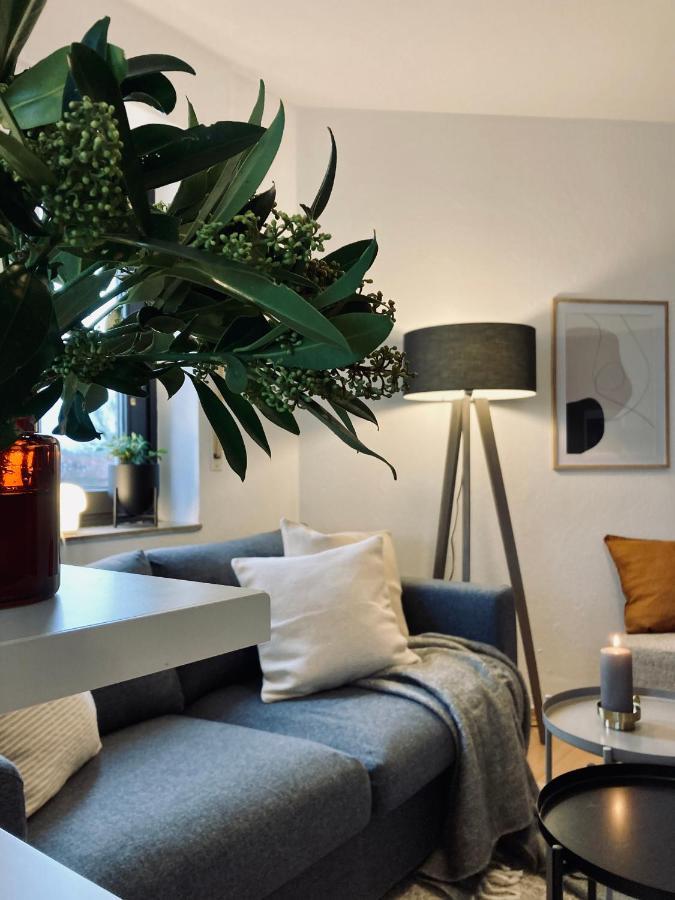 Schickes, Stilvolles Und Helles Apartment In Muenster Luaran gambar